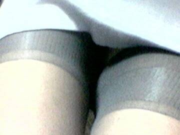 ___________velatamente______________________