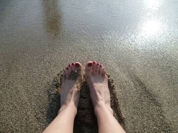 piedi